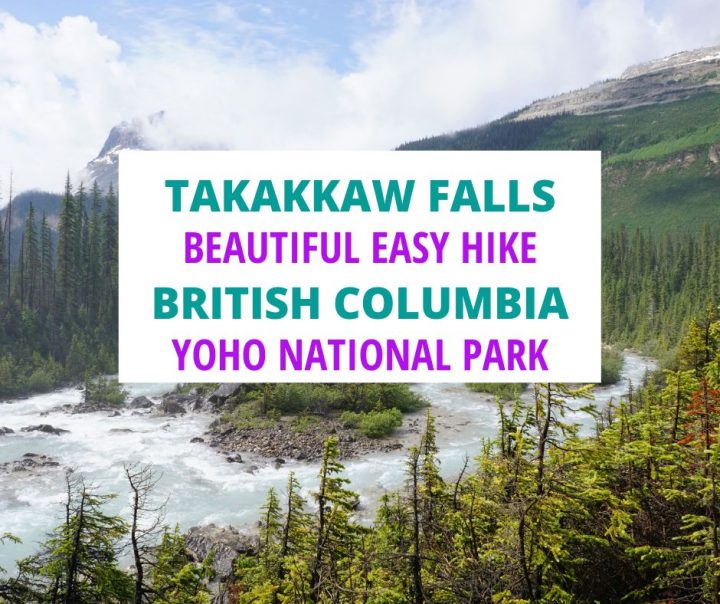 塔卡考瀑布美丽，轻松徒步，不列颠哥伦比亚省Yoho国家公园。