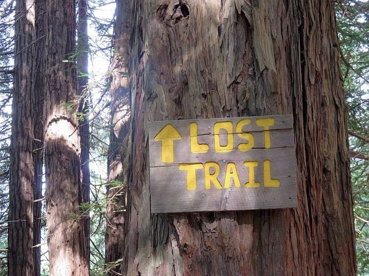 Muir Woods Lost Trail标志