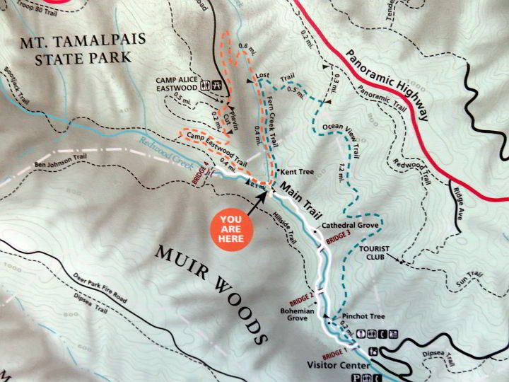缪尔森林徒步旅行路线地图