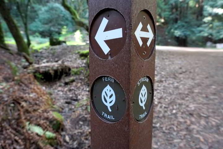 指向Fern和Stream步道的远足步道标志。