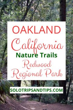 加州奥克兰红木地区公园自然小径。