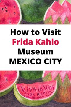 如何参观墨西哥城弗里达·卡罗博物馆
