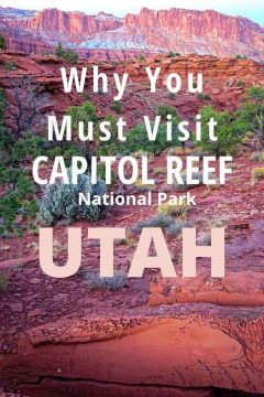 为什么你一定要去犹他州的国会礁国家公园