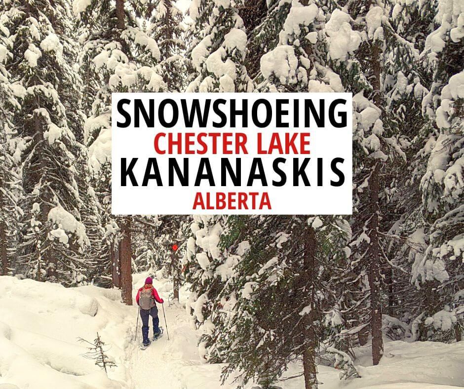 穿雪鞋在阿尔伯塔省卡纳纳斯基斯切斯特湖