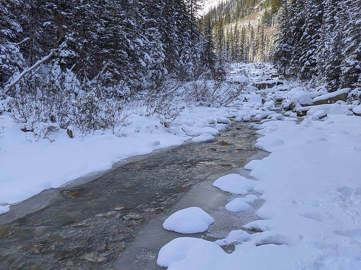 白雪覆盖的风景和一条小溪从中间流过