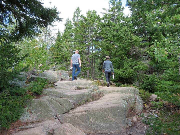 两个徒步旅行者走在森林里的岩石小径上。