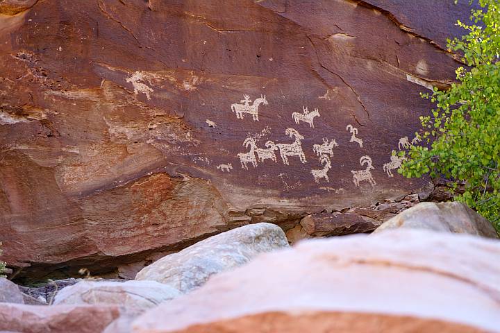 几幅大角羊的岩画和两个骑马的人物。
