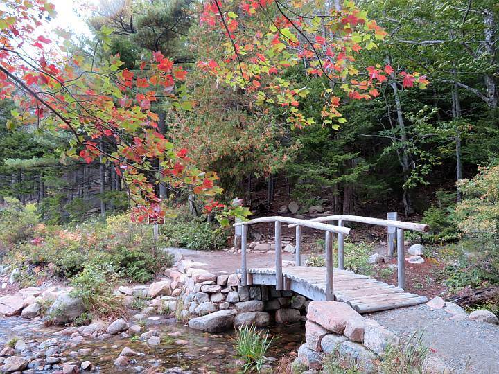 约旦池塘小径上的木制步行桥