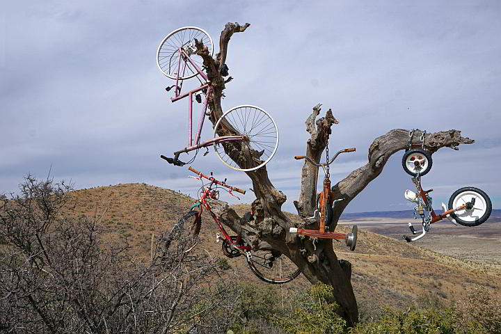 得克萨斯州阿尔卑斯市汉考克山小径上的一棵枯树上拴着自行车