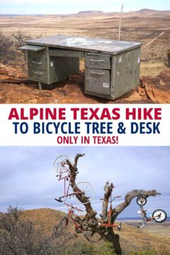 阿尔卑斯山德克萨斯州徒步到自行车树和办公桌-只有在德克萨斯州!