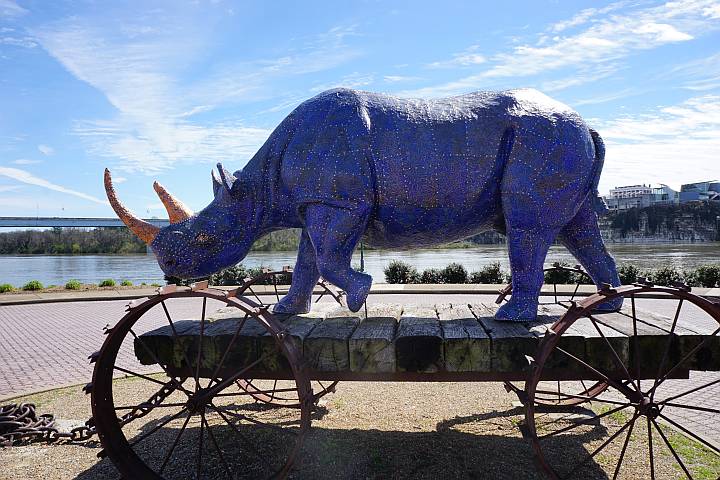 查塔努加柯立芝公园的蓝犀牛