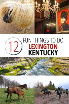 肯塔基州列克星敦的12件有趣的事——骑马、徒步旅行、波旁威士忌。