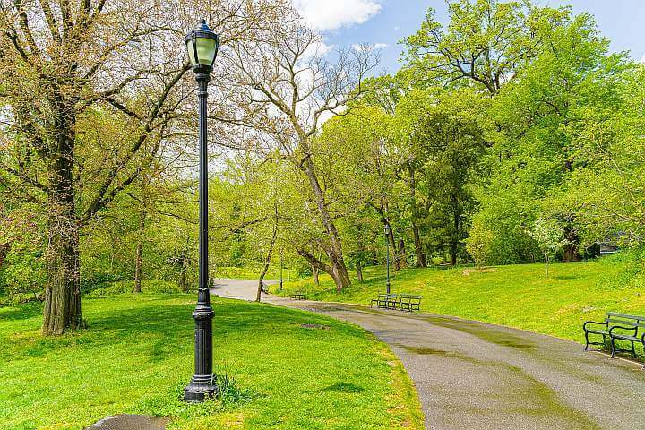 纽约城前景公园春天的小路