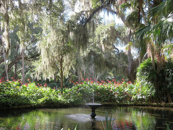 华盛顿橡树花园州立公园的喷泉被郁郁葱葱的花园、橡树和棕榈树包围。