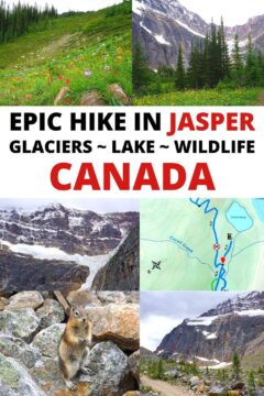 史诗般的徒步旅行在贾斯珀冰川湖野生动物加拿大与野花，冰川，松鼠，小径地图的图像。