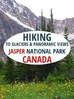 徒步前往冰川和加拿大贾斯珀国家公园的全景