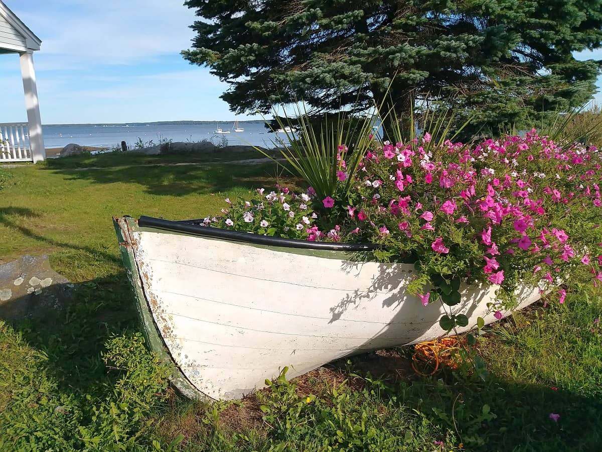 林肯维尔缅因州风景如画的海滨小镇——旧船上的花。