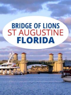 佛罗里达圣奥古斯丁的狮子桥。