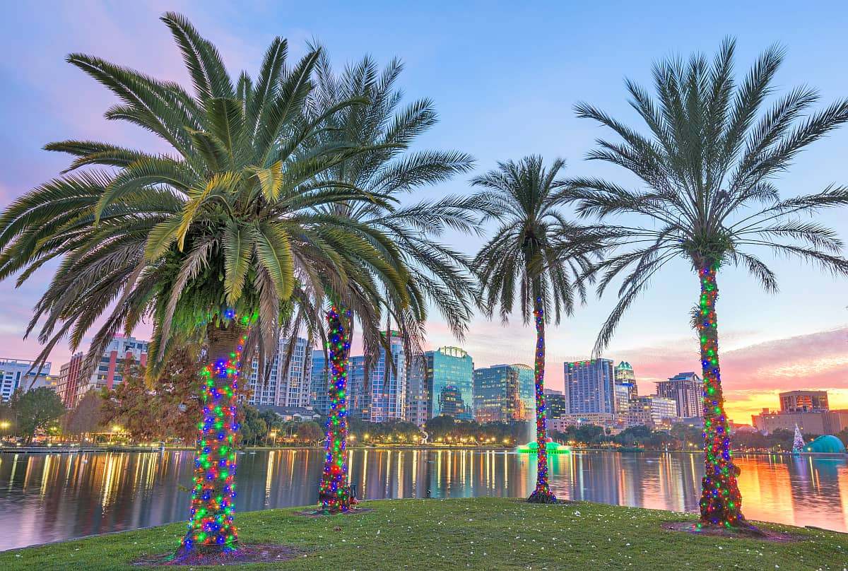 在佛罗里达州奥兰多的伊奥拉湖，用圣诞彩灯装饰的棕榈树。