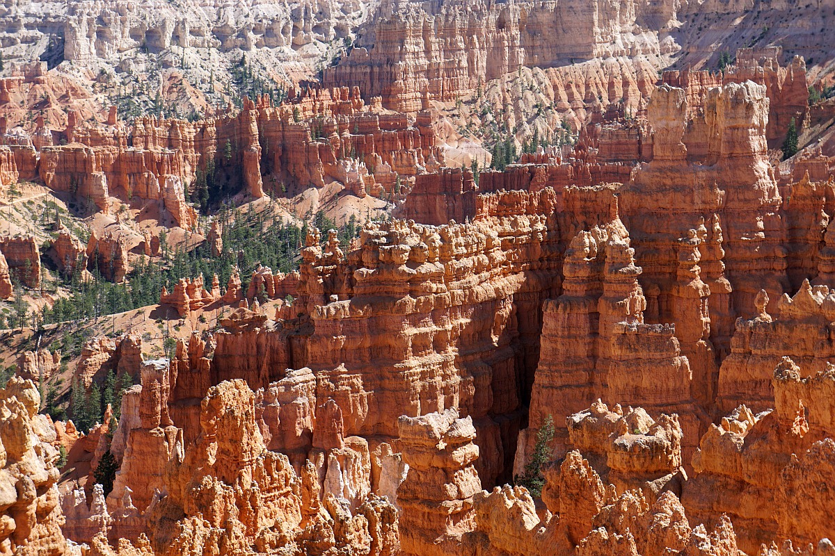 Bryce Canyon hoodoos in Utah.