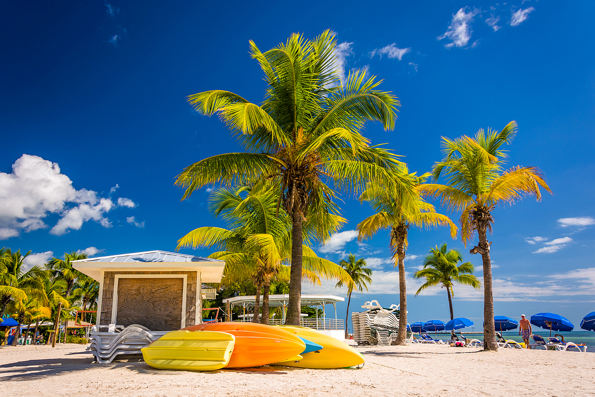 佛罗里达基韦斯特海滩上的皮划艇和棕榈树度假。
