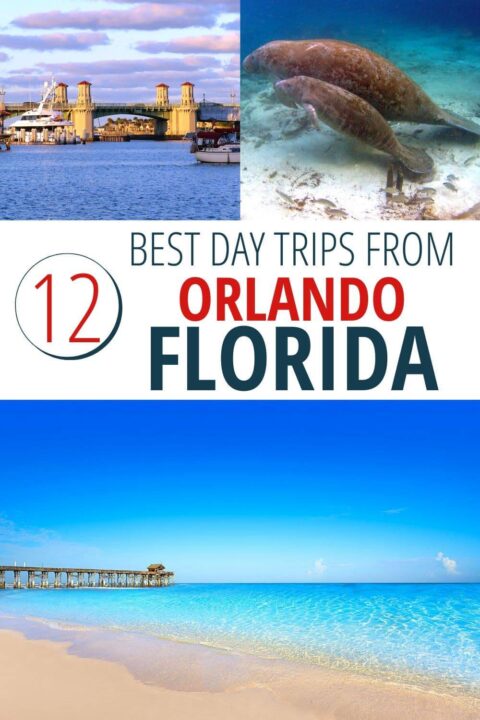 从佛罗里达州奥兰多出发的12个最佳一日游。