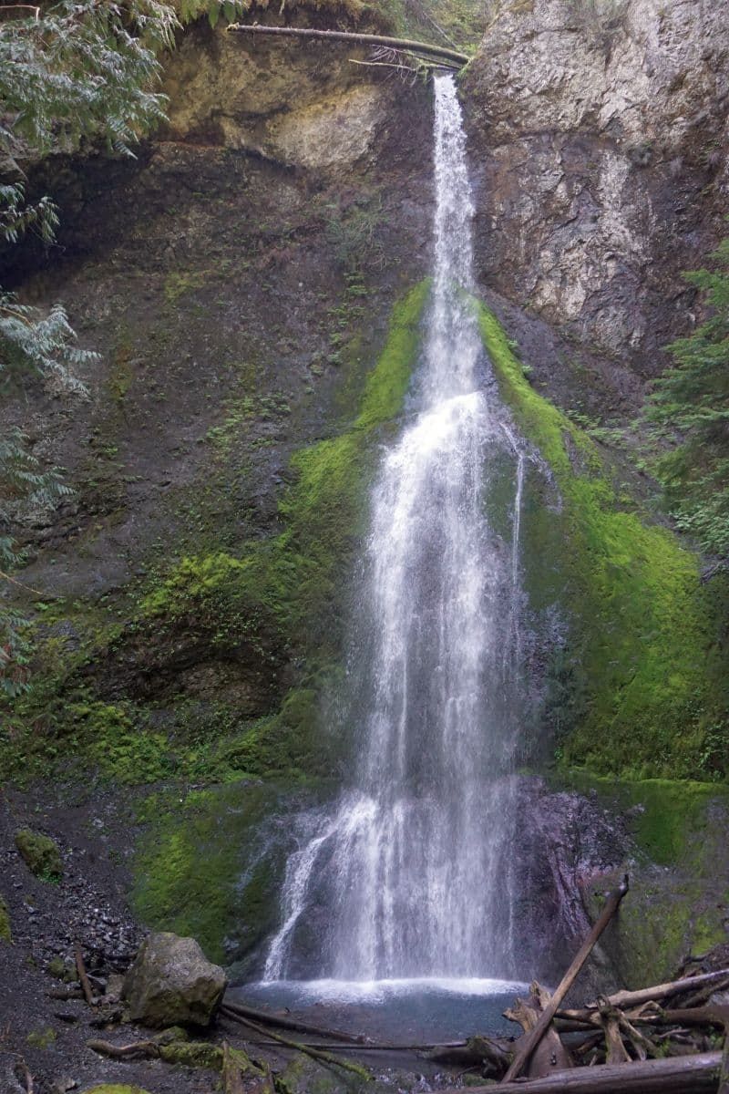 Marymere瀑布是奥林匹克国家公园的一个短途徒步旅行
