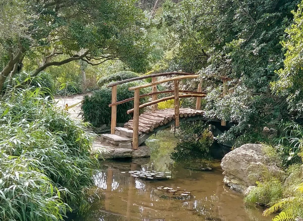 德克萨斯州奥斯汀市Zilker植物园的木桥。
