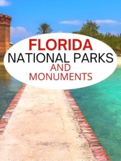 佛罗里达国家公园和纪念碑。