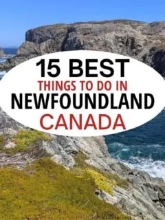 在加拿大纽芬兰最好的15件事。