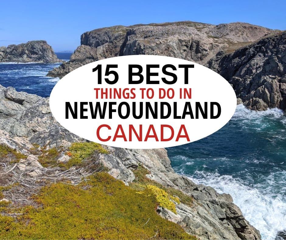 加拿大纽芬兰最好的15件事