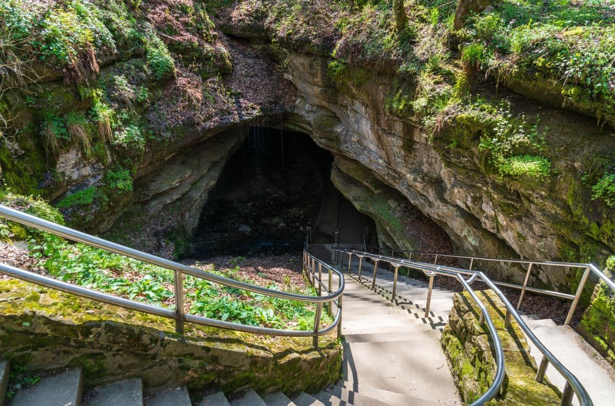 猛犸洞穴国家公园入口进入洞穴。