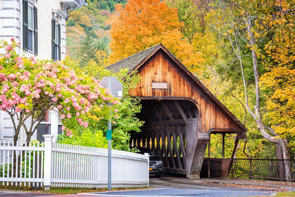 伍德斯托克佛蒙特州覆盖桥与秋天的树叶。