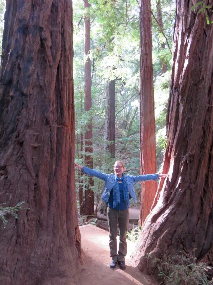 女人站在两棵巨大的红杉之间。